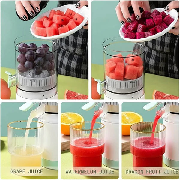 Citrus Juicer Juicer 1 Year Warranty